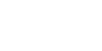 NDS Logo
